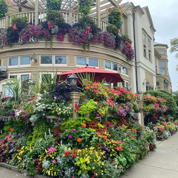 Meet your Posher, Samantha - Picture 1 of 2